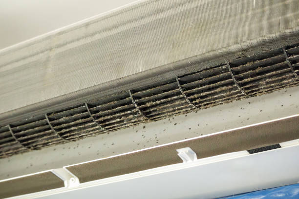 Best HVAC System Cleaning  in Buford, GA